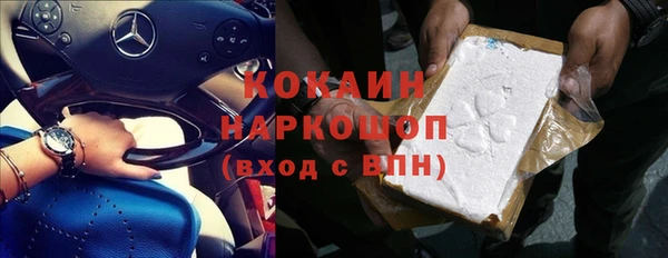 сатива Белокуриха