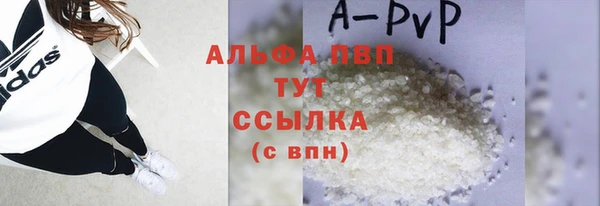 сатива Белокуриха
