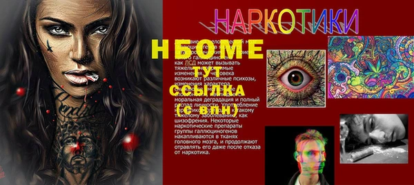 сатива Белокуриха