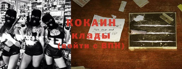 сатива Белокуриха