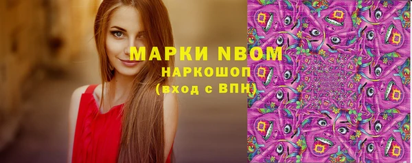 сатива Белокуриха