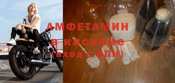 сатива Белокуриха