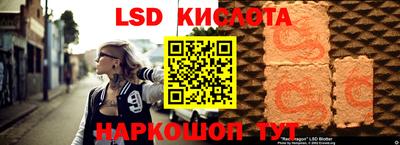 прущие грибы Новодвинск