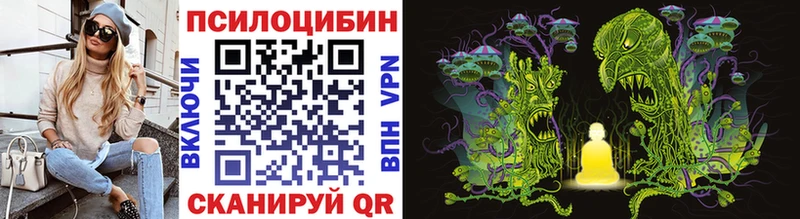 Псилоцибиновые грибы Cubensis  Горячий Ключ 