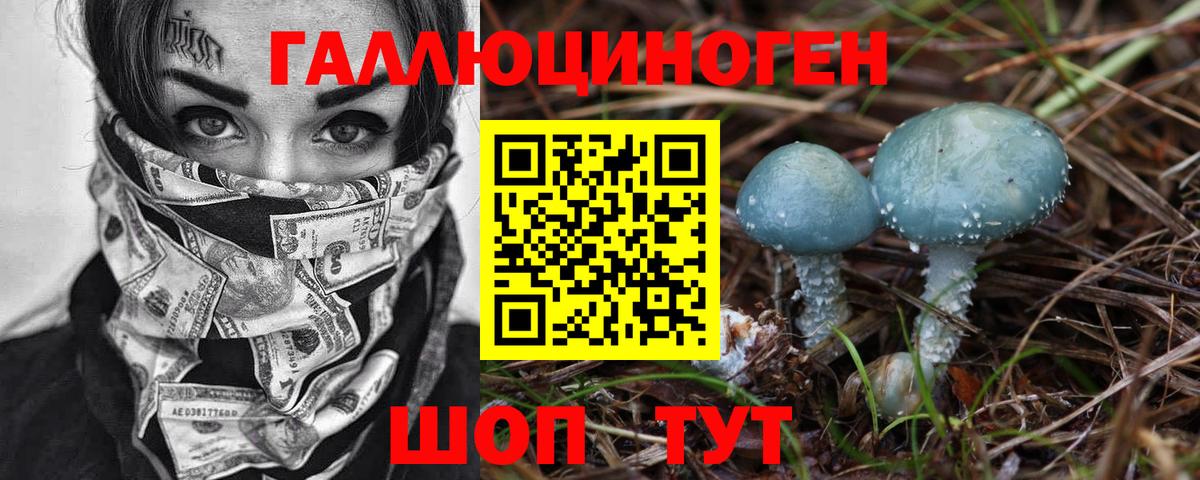 Псилоцибиновые грибы MAGIC MUSHROOMS Горячий Ключ